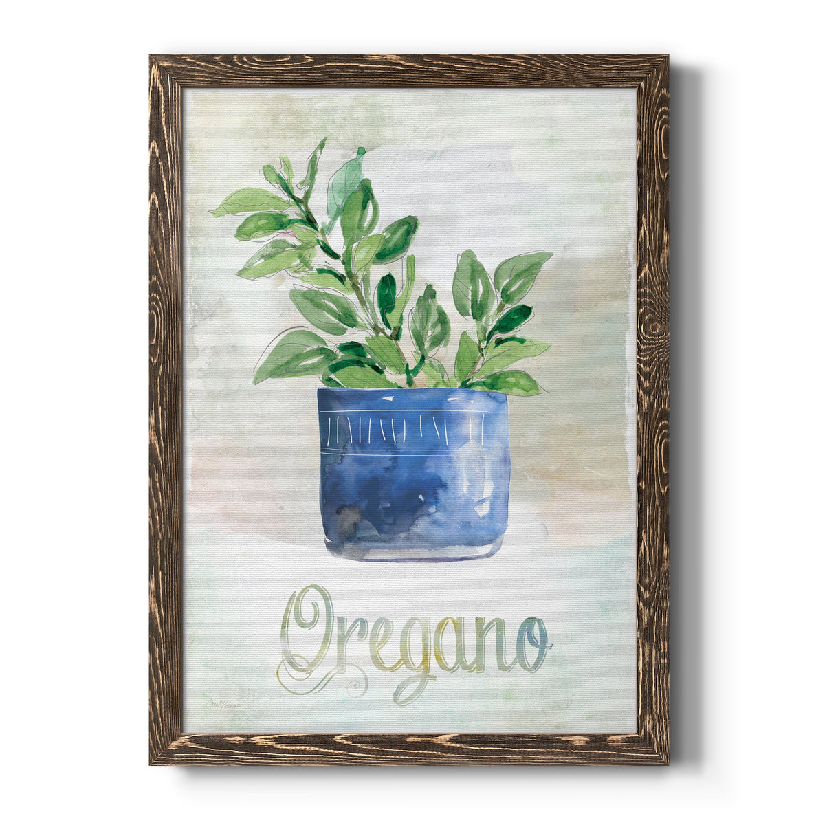 Potted Oregano - Barnwood Framed Canvas Print