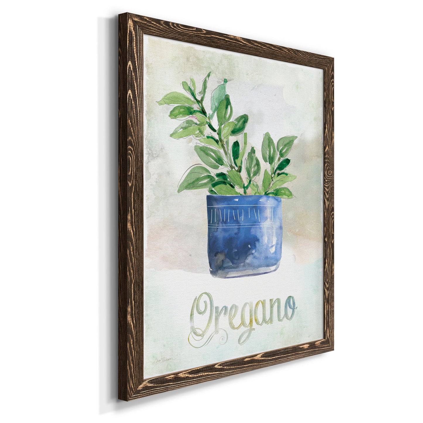 Potted Oregano - Barnwood Framed Canvas Print
