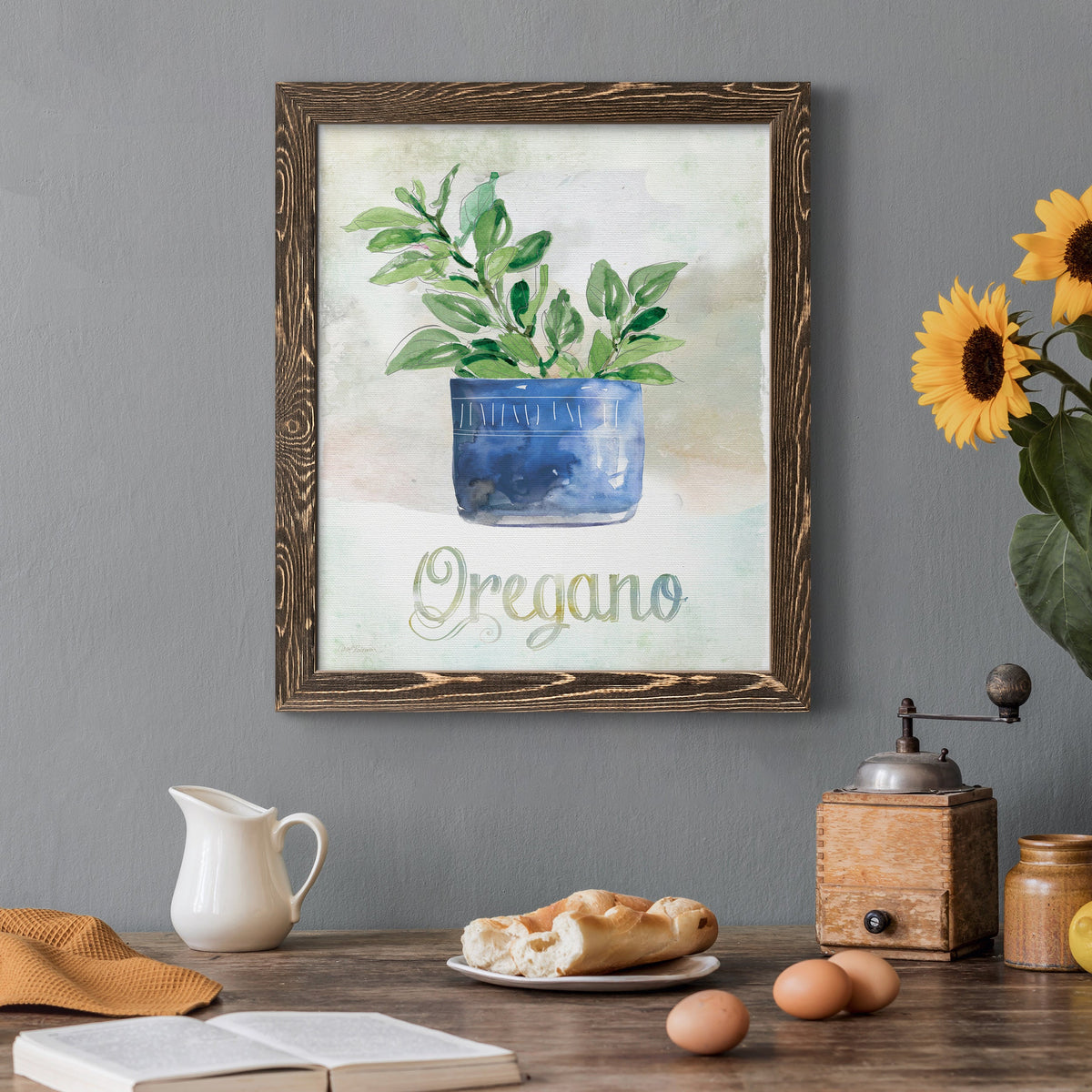 Potted Oregano - Barnwood Framed Canvas Print