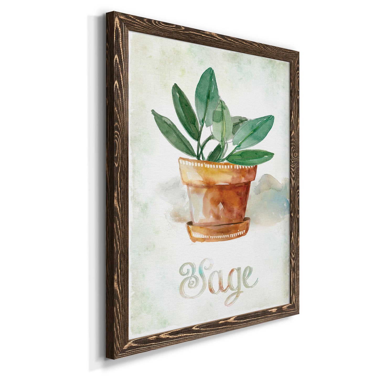 Potted Sage - Barnwood Framed Canvas Print