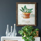 Potted Sage - Barnwood Framed Canvas Print