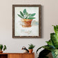 Potted Sage - Barnwood Framed Canvas Print