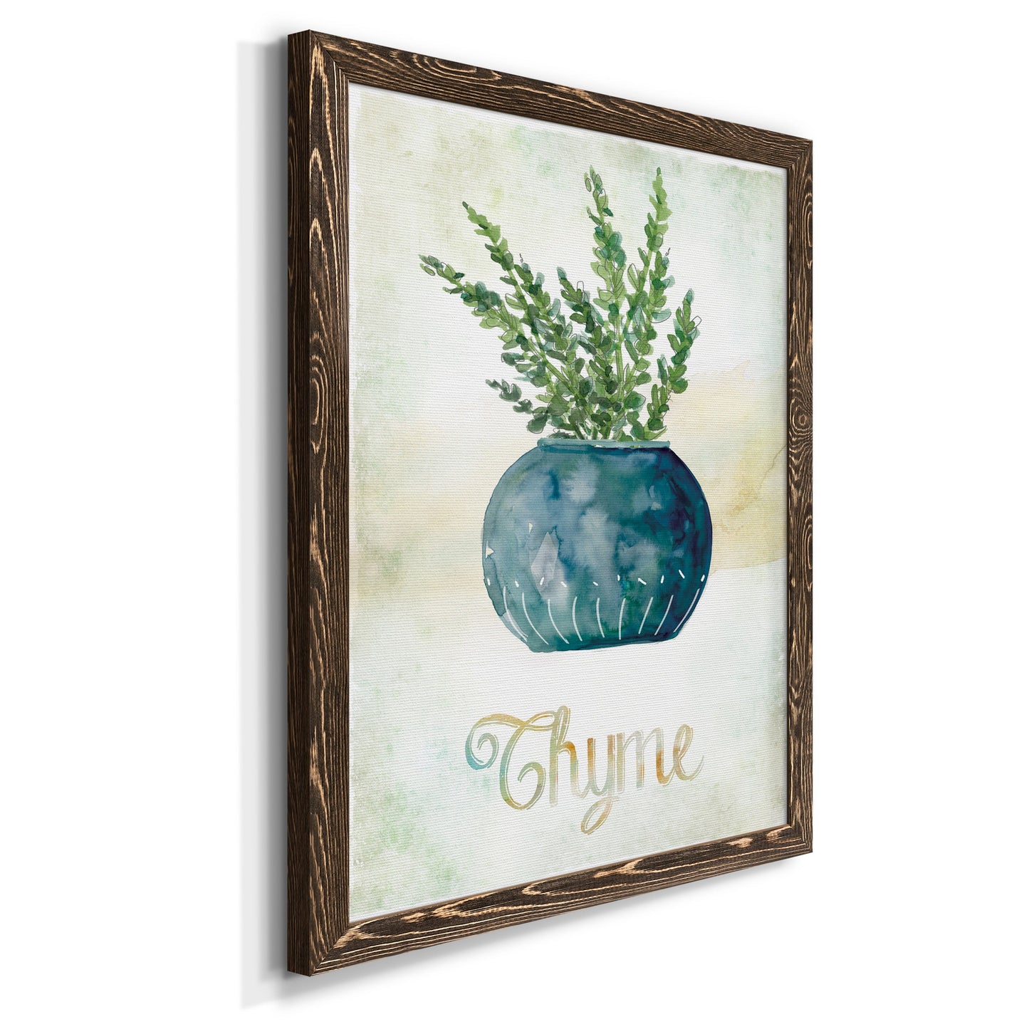 Potted Thyme - Barnwood Framed Canvas Print