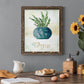 Potted Thyme - Barnwood Framed Canvas Print