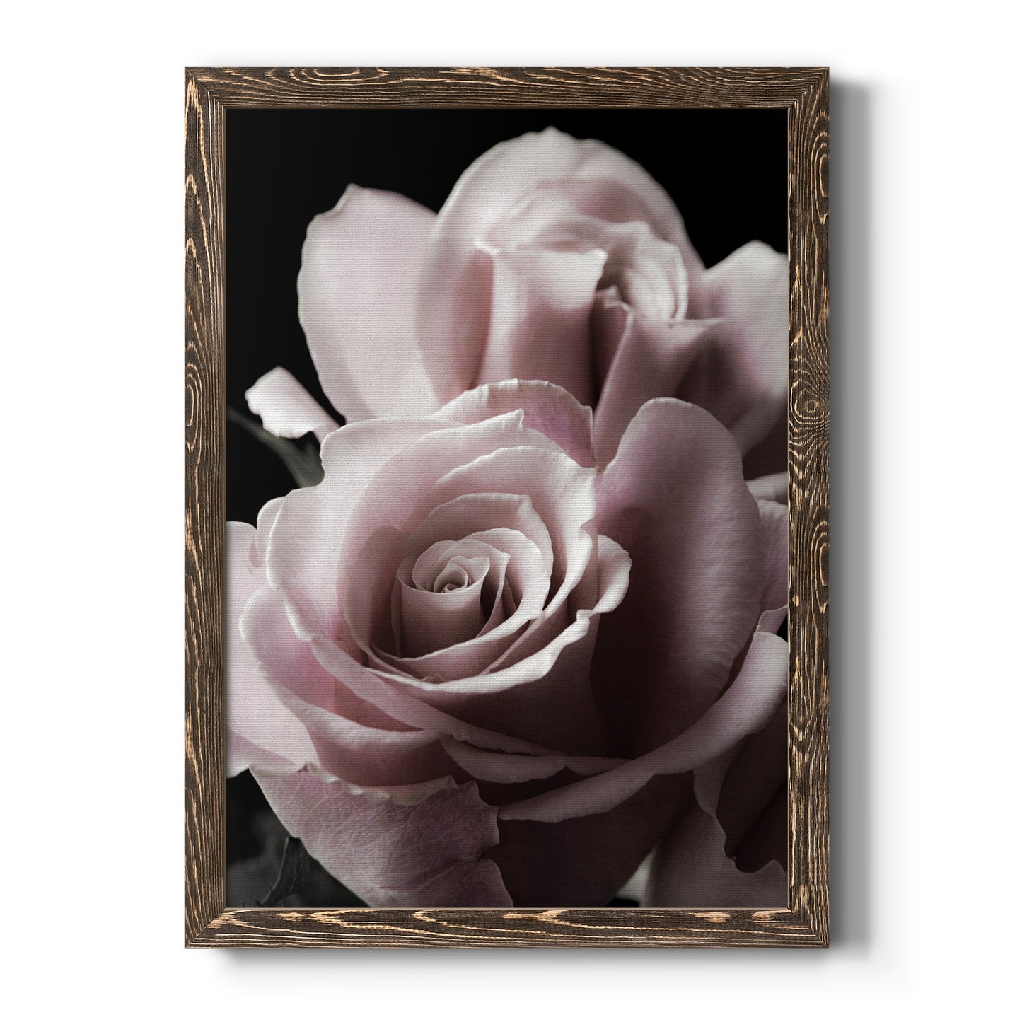 Rose Noir II - Barnwood Framed Canvas Print