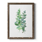 Eucalyptus II - Barnwood Framed Canvas Print
