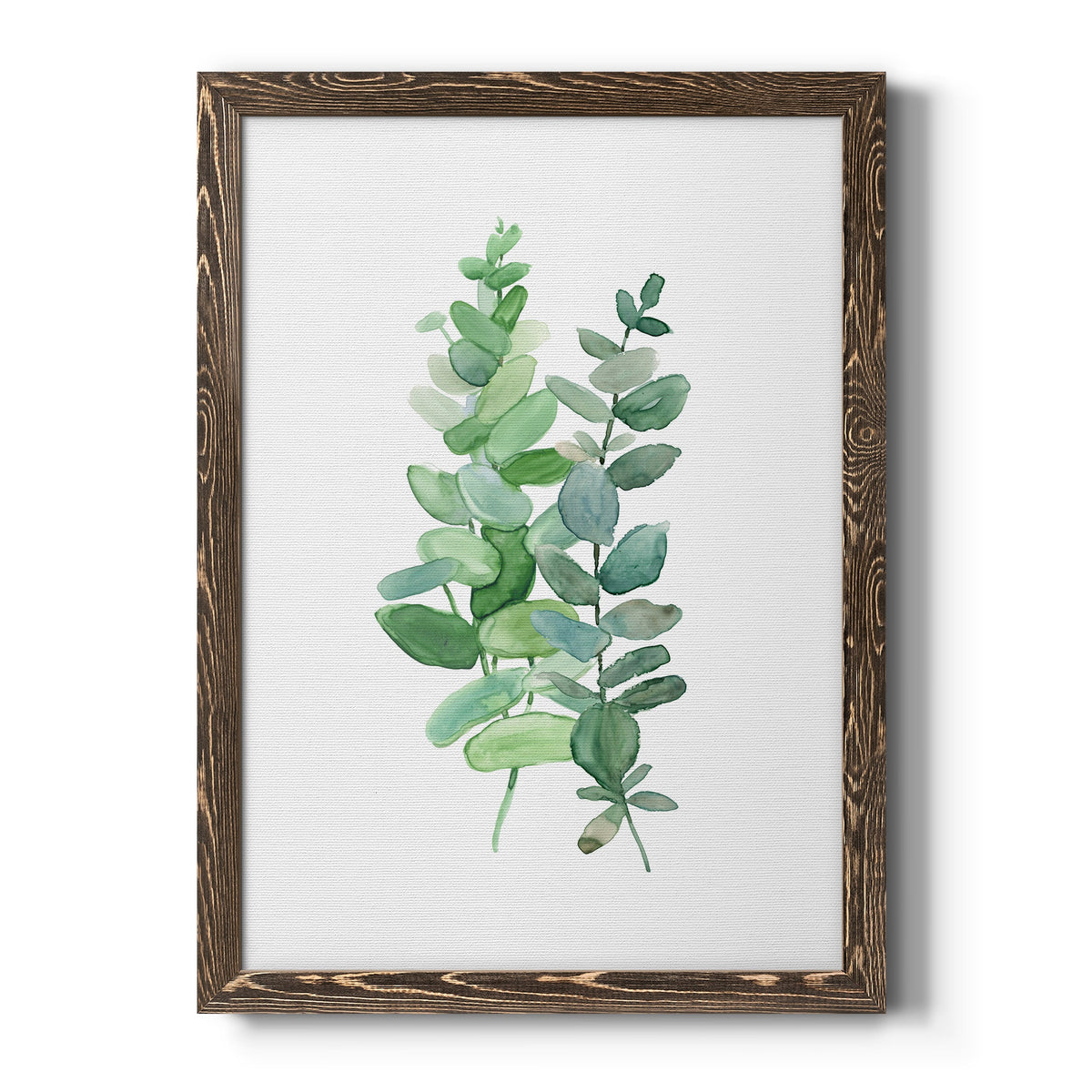 Eucalyptus II - Barnwood Framed Canvas Print