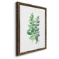 Eucalyptus II - Barnwood Framed Canvas Print