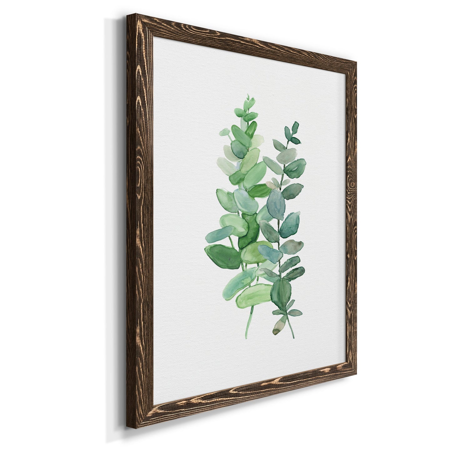 Eucalyptus II - Barnwood Framed Canvas Print