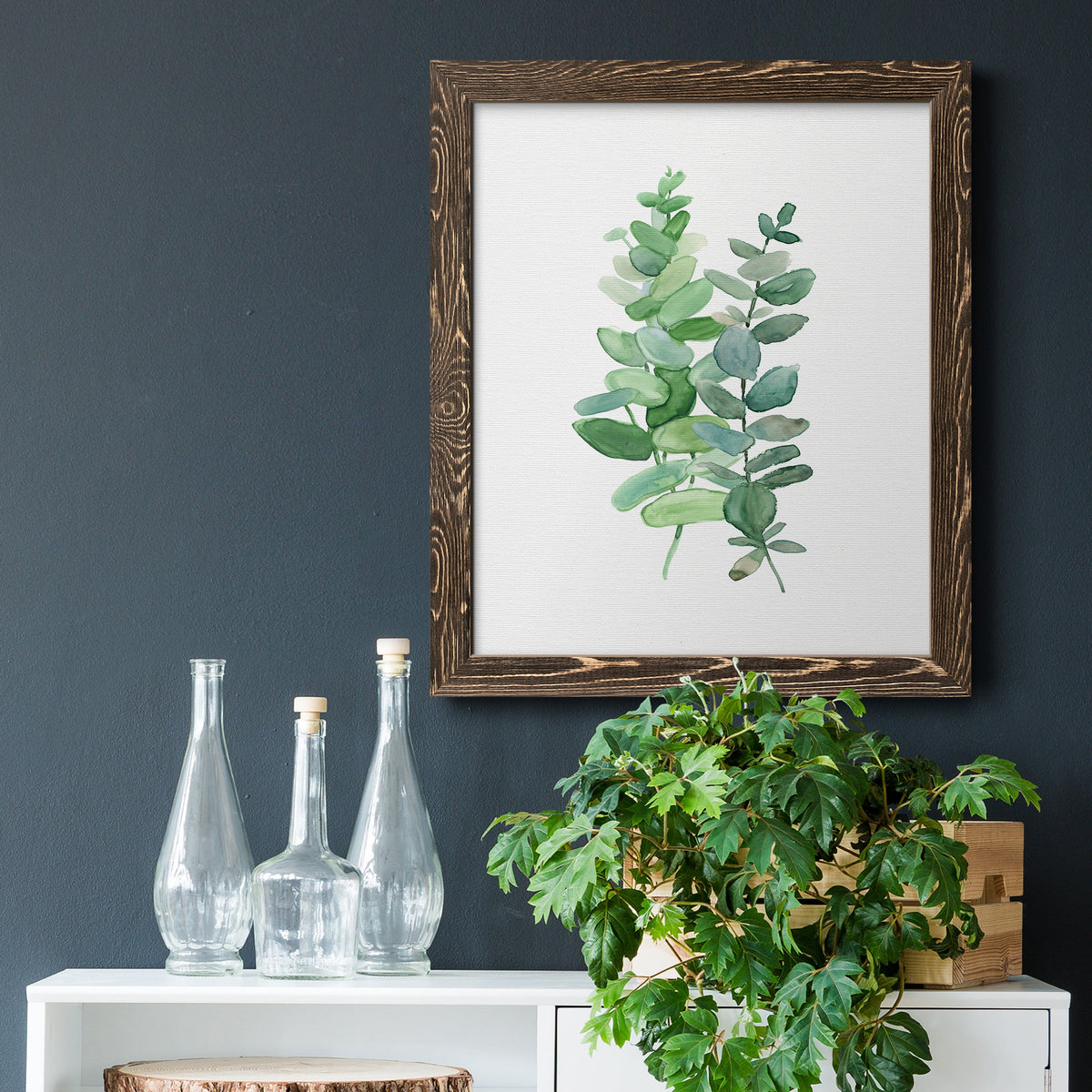 Eucalyptus II - Barnwood Framed Canvas Print