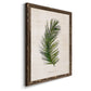 Palm Botanical II - Barnwood Framed Canvas Print