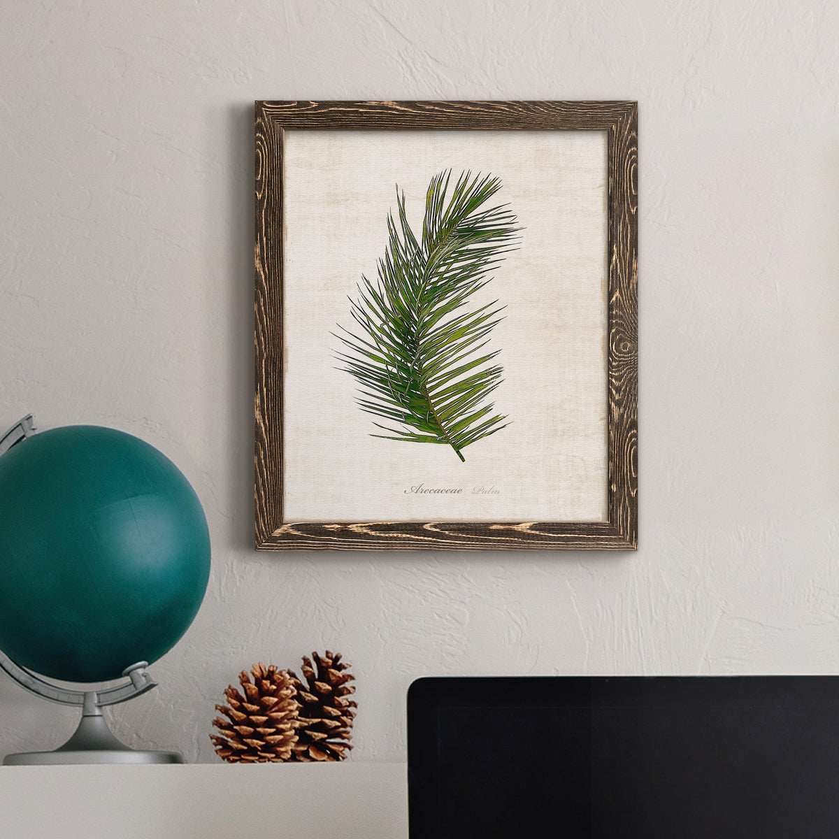 Palm Botanical II - Barnwood Framed Canvas Print