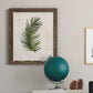 Palm Botanical II - Barnwood Framed Canvas Print