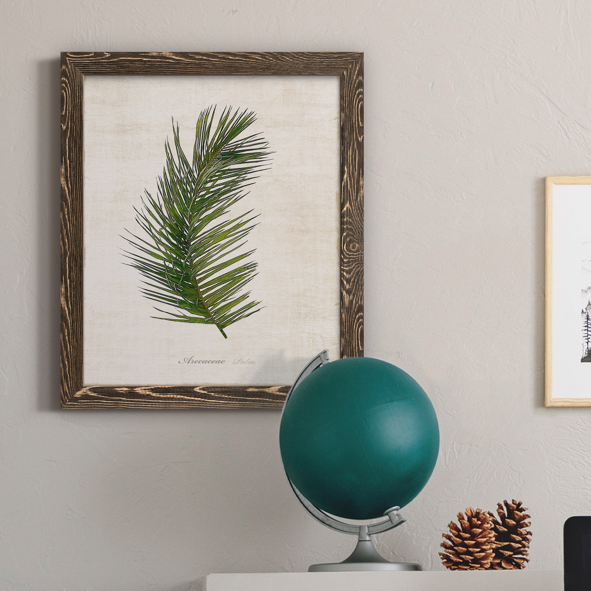 Palm Botanical II - Barnwood Framed Canvas Print