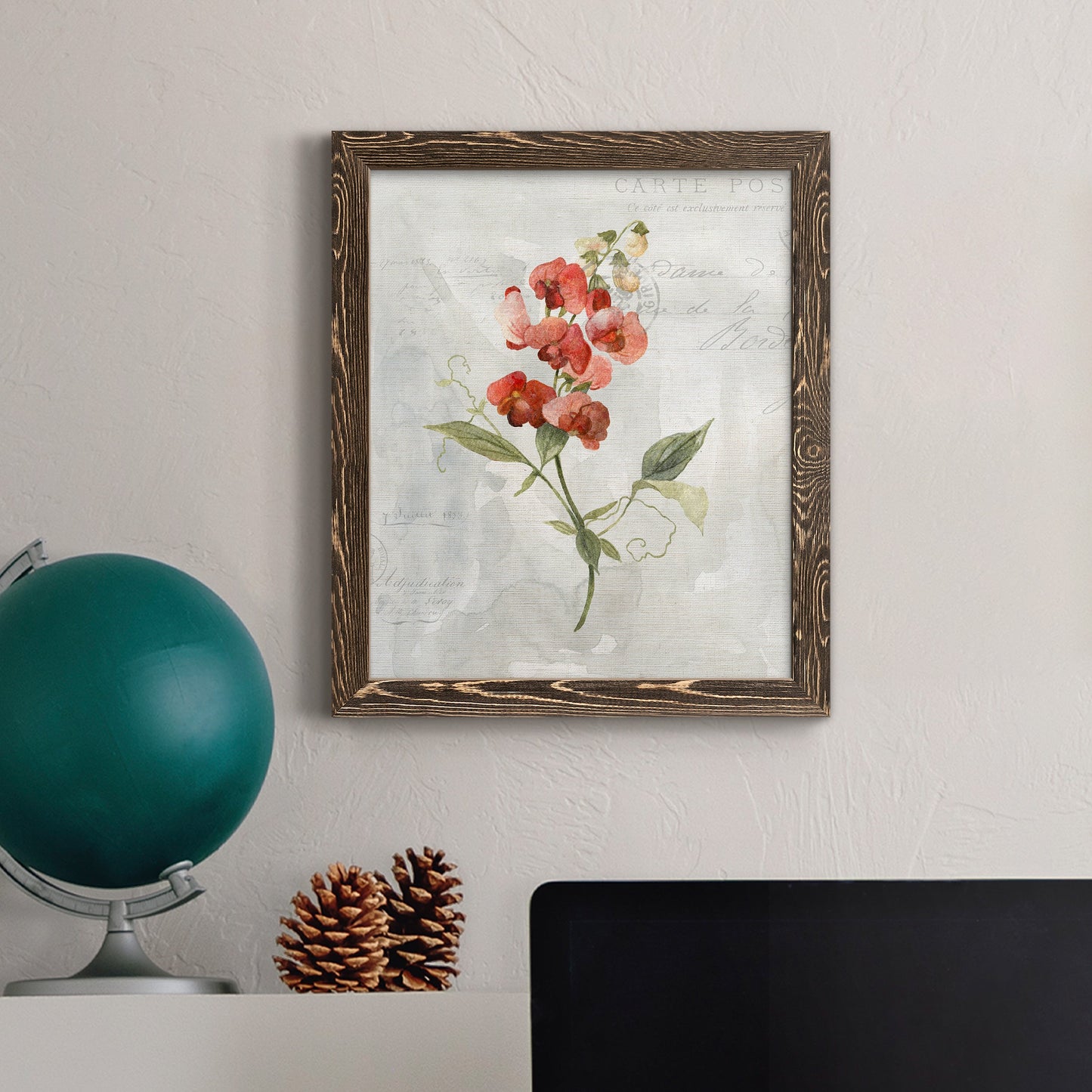 Linen Sweet Pea - Barnwood Framed Canvas Print