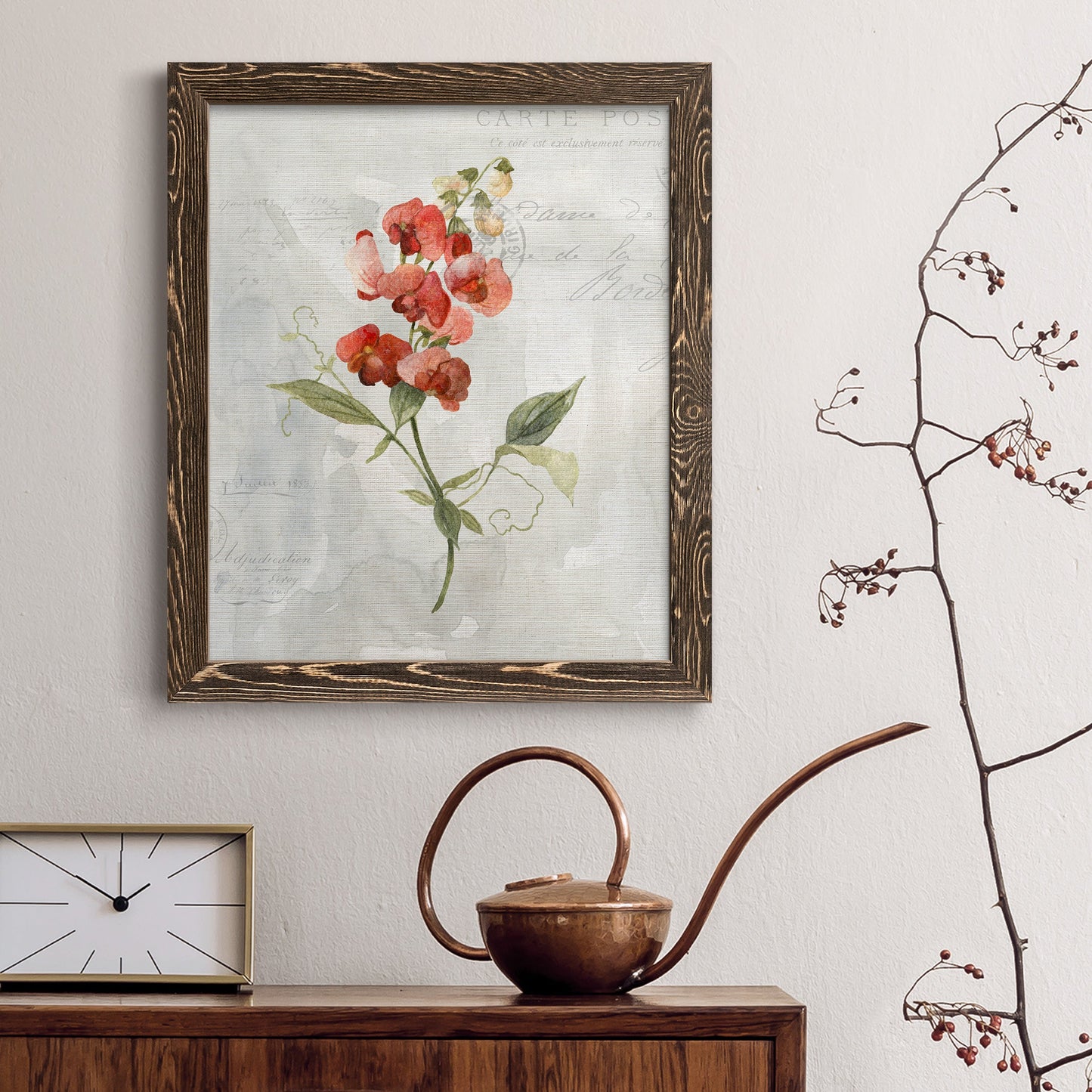 Linen Sweet Pea - Barnwood Framed Canvas Print