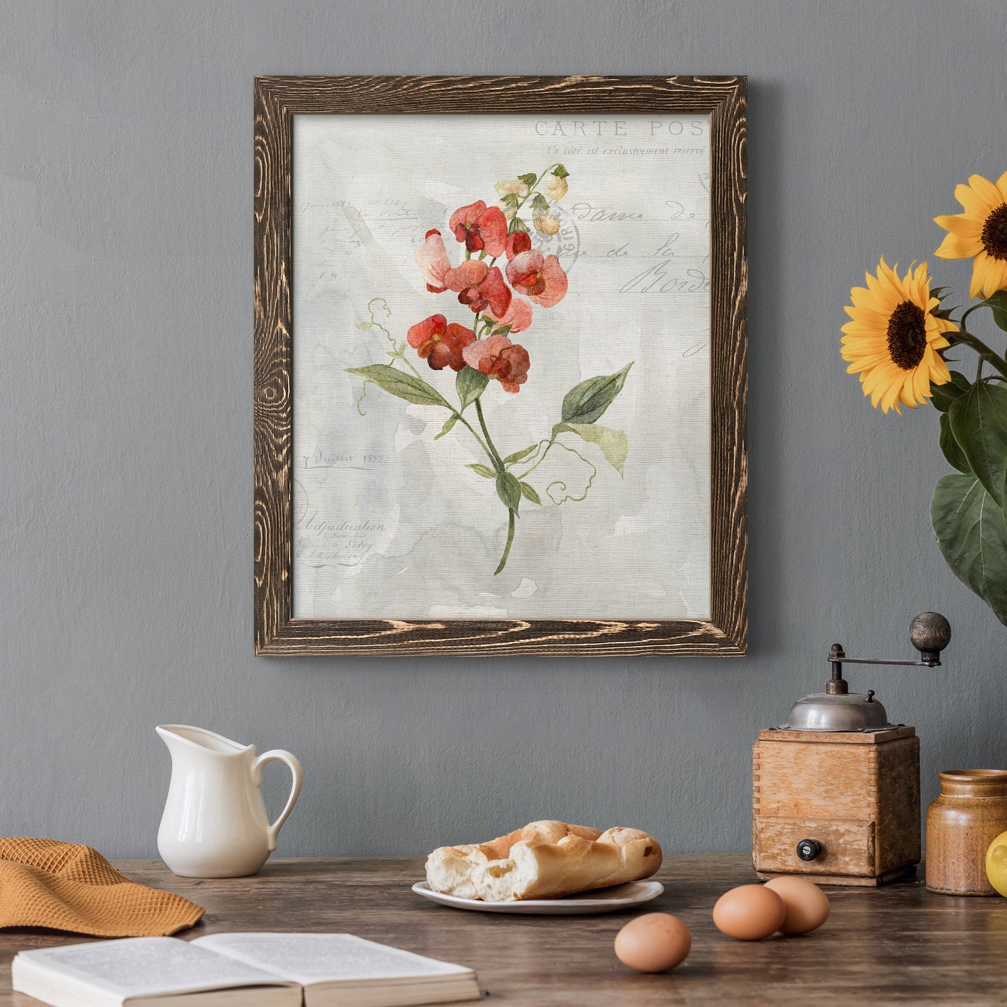 Linen Sweet Pea - Barnwood Framed Canvas Print