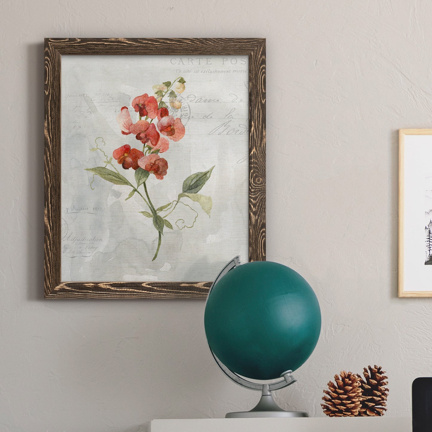 Linen Sweet Pea - Barnwood Framed Canvas Print