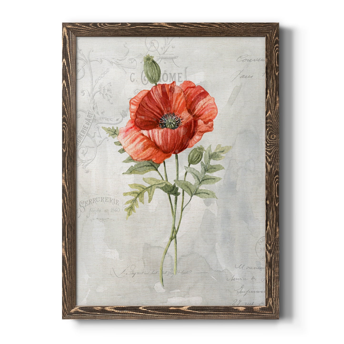 Linen Poppy - Barnwood Framed Canvas Print