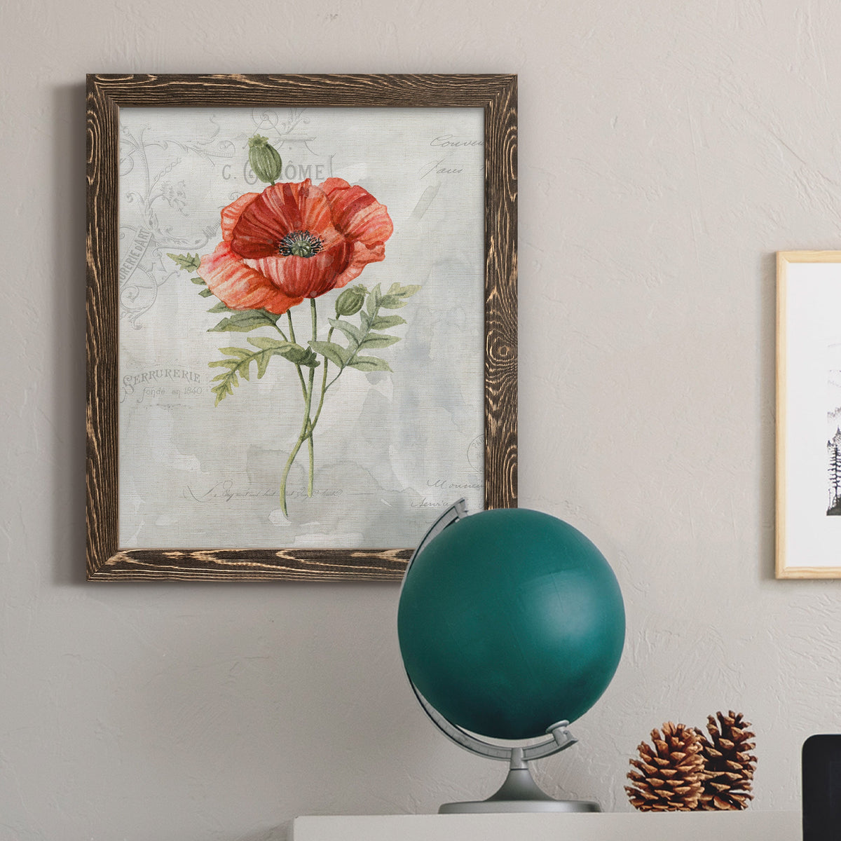 Linen Poppy - Barnwood Framed Canvas Print