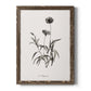 Sketchbook Imperial - Barnwood Framed Canvas Print