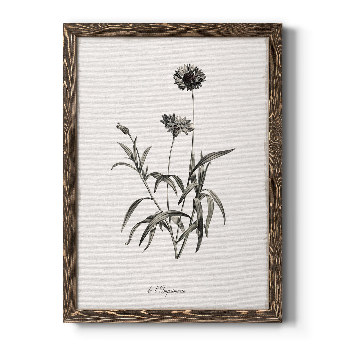Sketchbook Imperial - Barnwood Framed Canvas Print