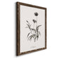 Sketchbook Imperial - Barnwood Framed Canvas Print