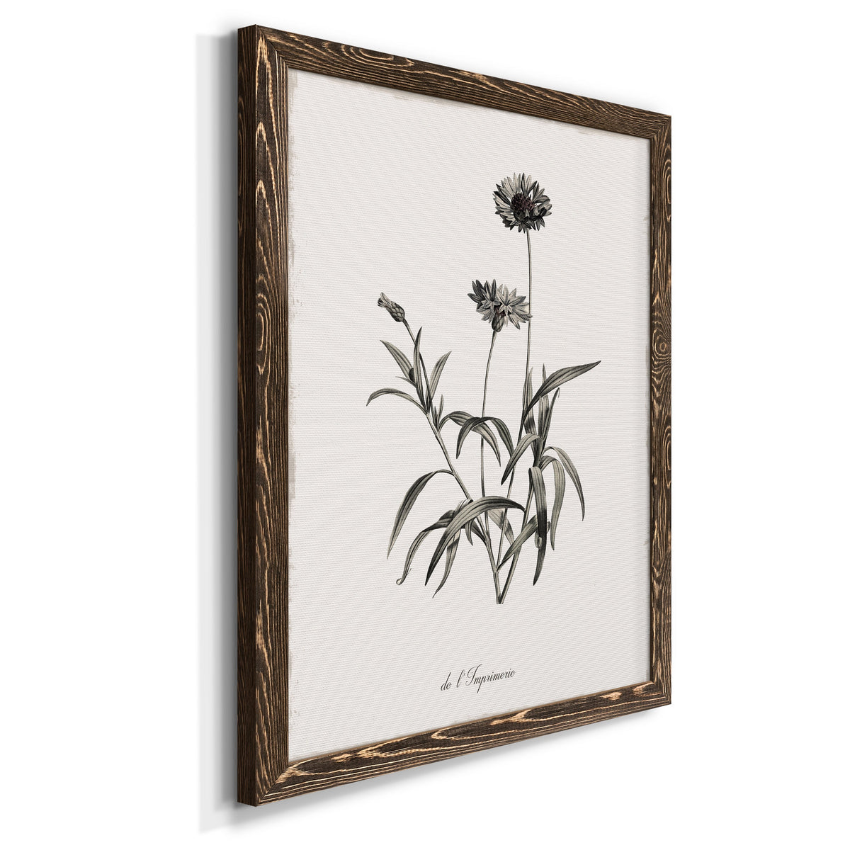 Sketchbook Imperial - Barnwood Framed Canvas Print