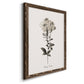 Sketchbook Leadwort - Barnwood Framed Canvas Print