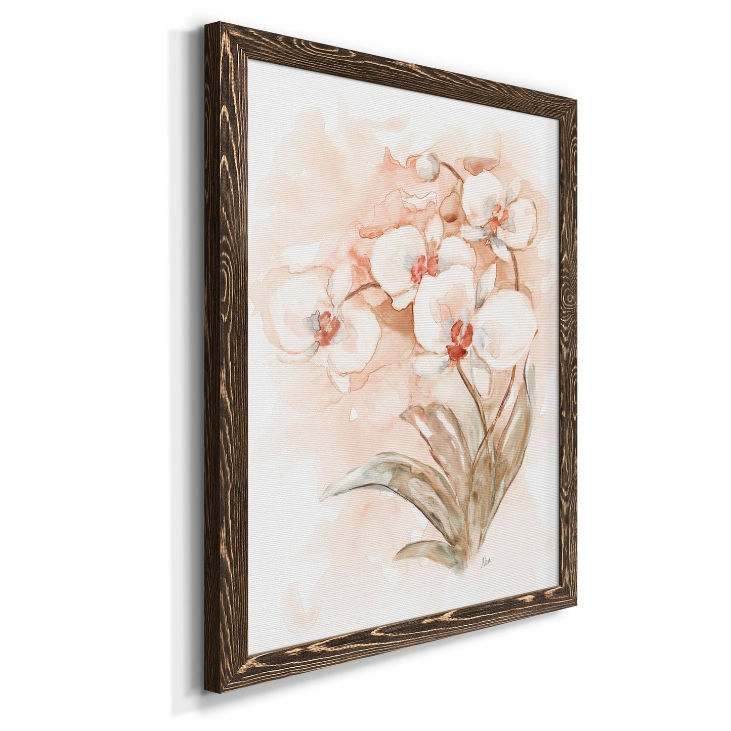 White and Coral Orchid II - Barnwood Framed Canvas Print