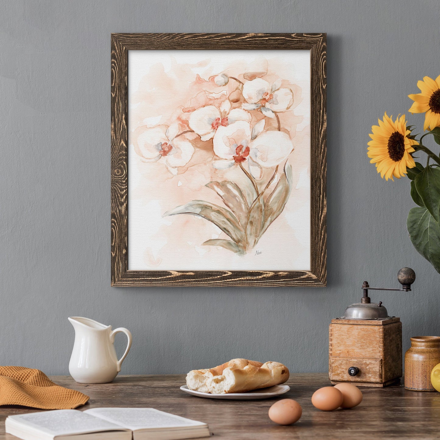 White and Coral Orchid II - Barnwood Framed Canvas Print