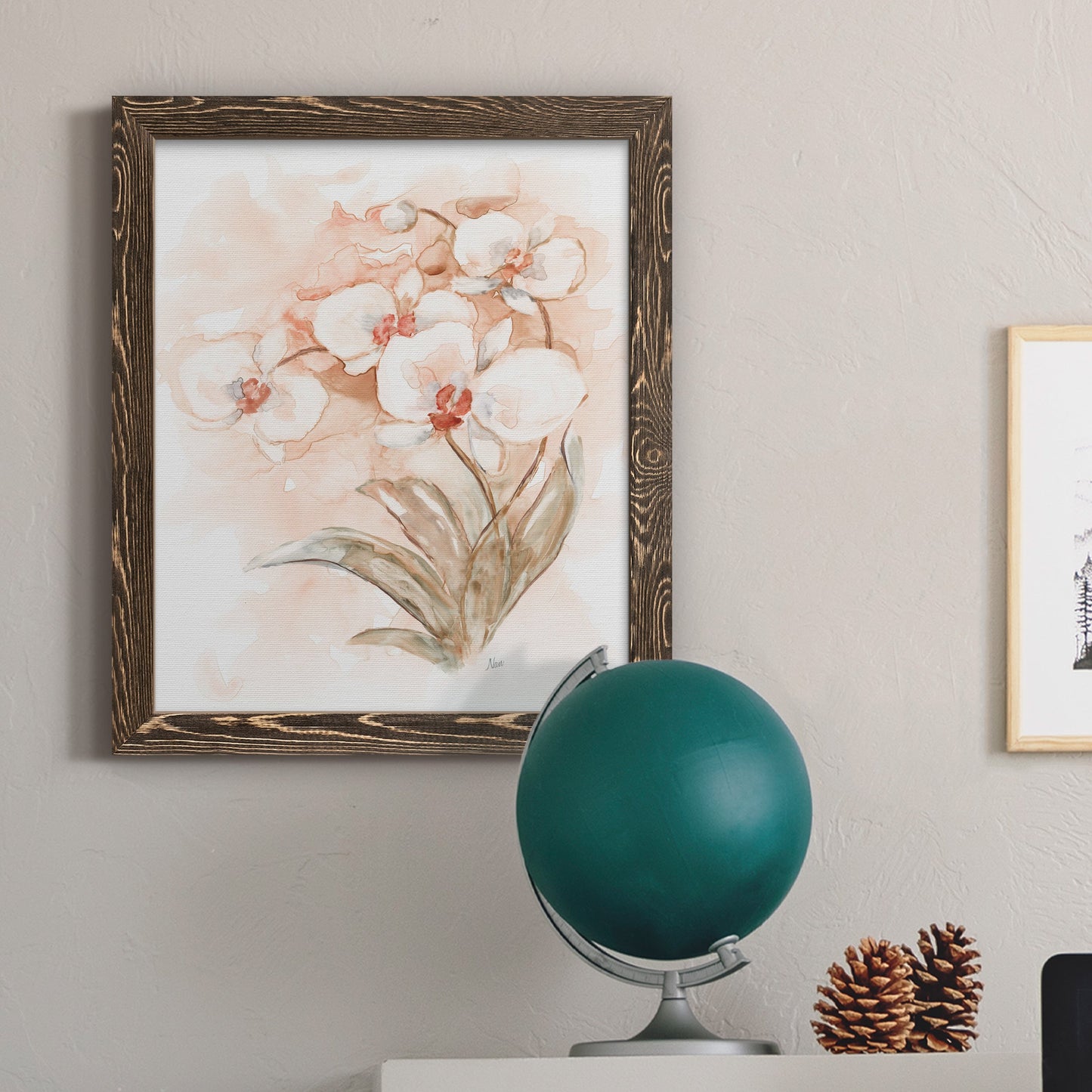 White and Coral Orchid II - Barnwood Framed Canvas Print