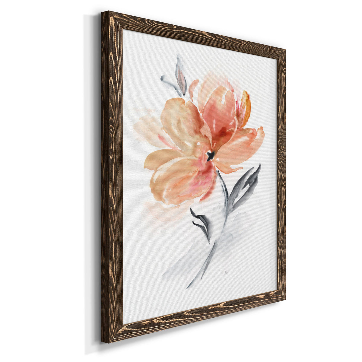 Soft Sensation II - Barnwood Framed Canvas Print