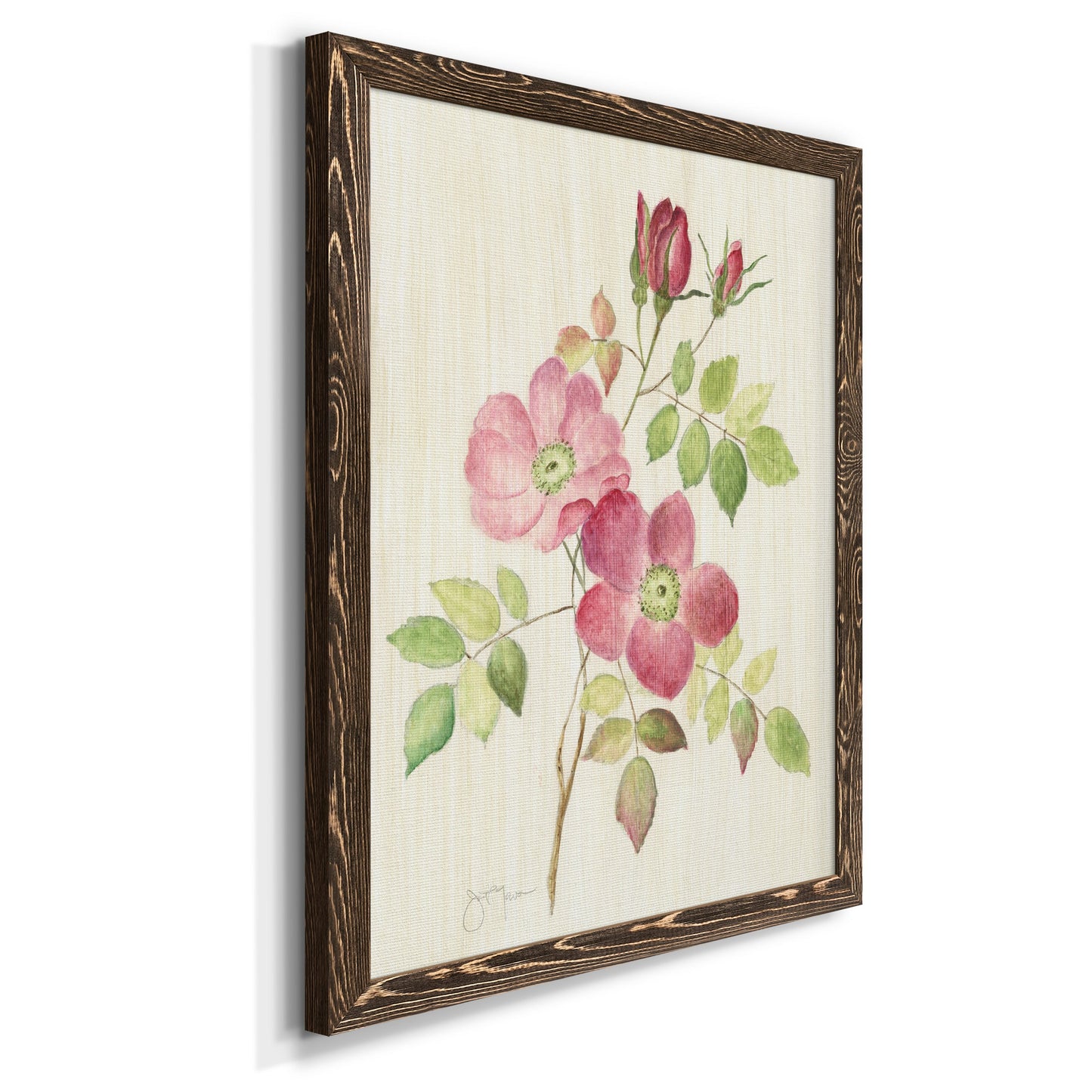 Dusty Rose I - Barnwood Framed Canvas Print