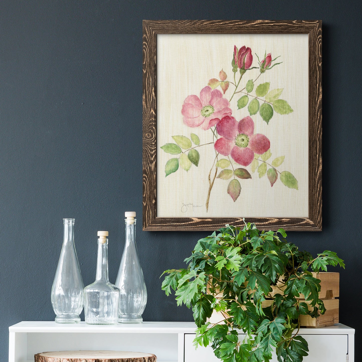 Dusty Rose I - Barnwood Framed Canvas Print