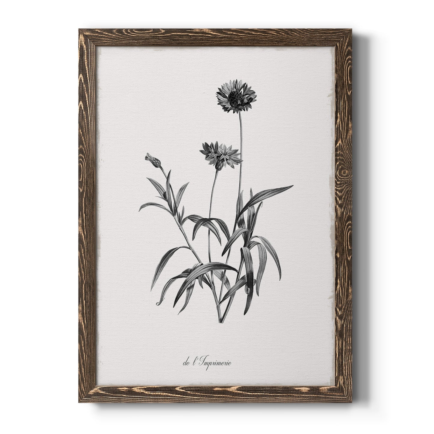 Simply Imperial - Barnwood Framed Canvas Print