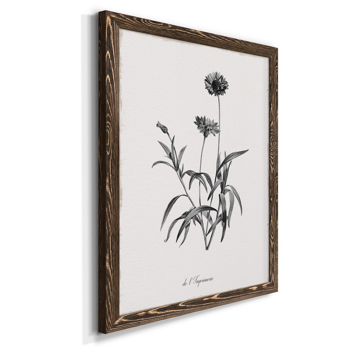 Simply Imperial - Barnwood Framed Canvas Print