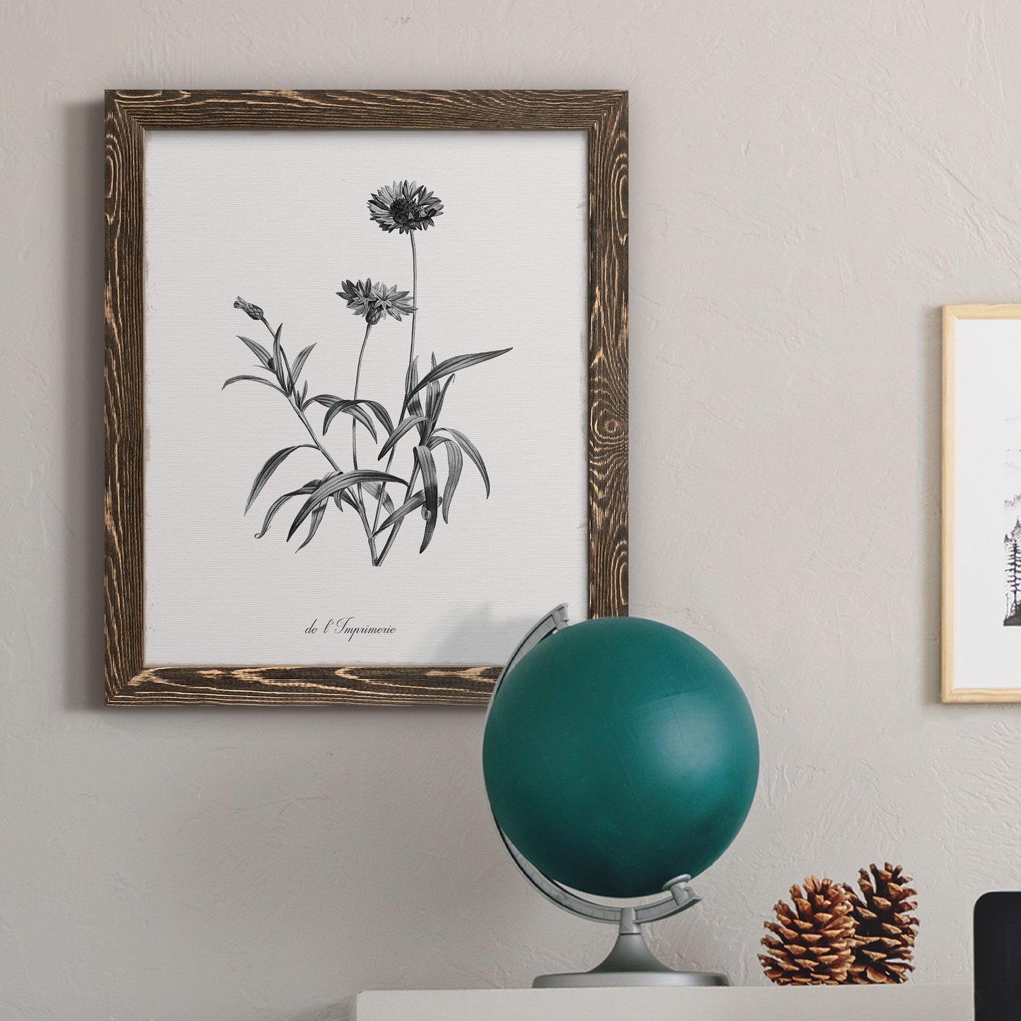Simply Imperial - Barnwood Framed Canvas Print