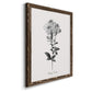 Simply Cape Leadwort - Barnwood Framed Canvas Print