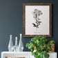 Simply Cape Leadwort - Barnwood Framed Canvas Print