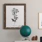 Simply Cape Leadwort - Barnwood Framed Canvas Print
