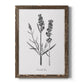 Simply Lavender - Barnwood Framed Canvas Print