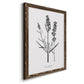 Simply Lavender - Barnwood Framed Canvas Print