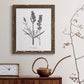 Simply Lavender - Barnwood Framed Canvas Print