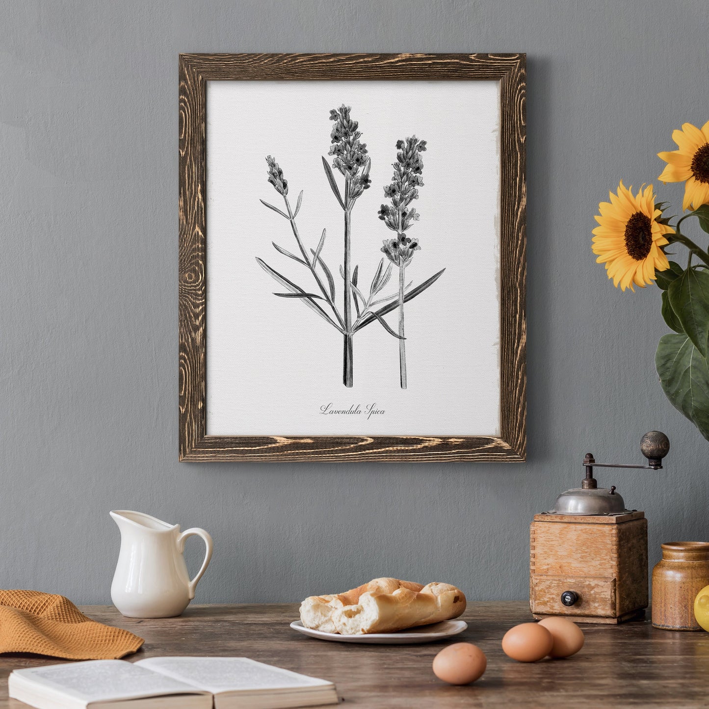 Simply Lavender - Barnwood Framed Canvas Print