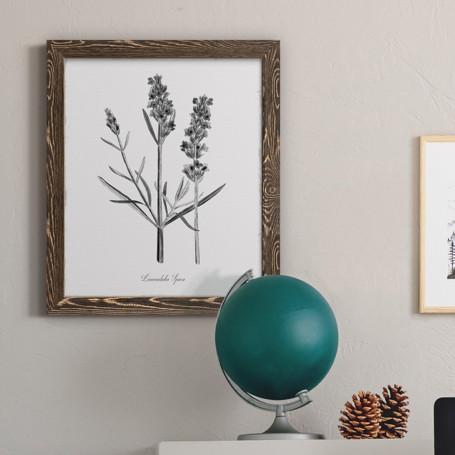 Simply Lavender - Barnwood Framed Canvas Print