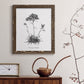 Simply Caladrinia - Barnwood Framed Canvas Print