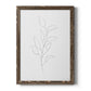 Botanical Gesture VI - Barnwood Framed Canvas Print