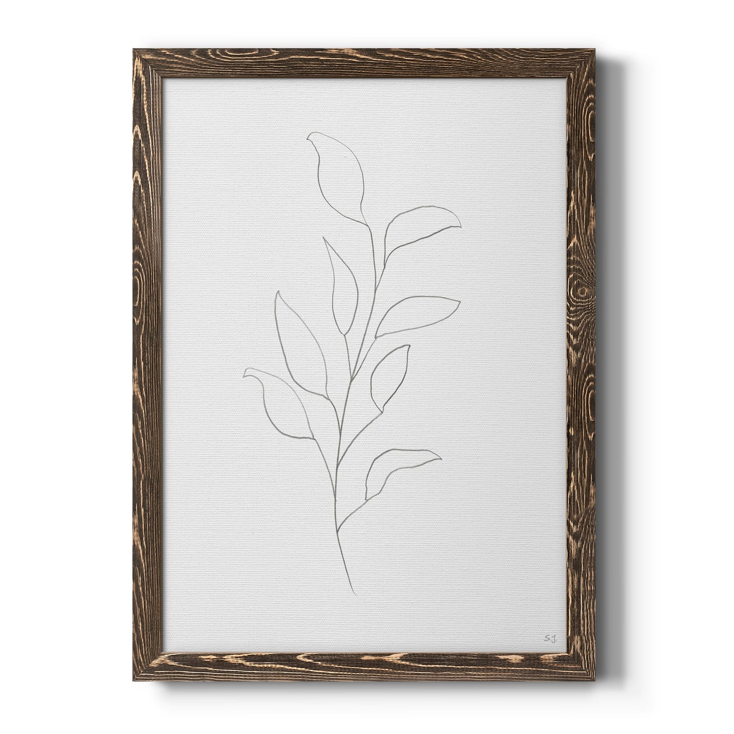 Botanical Gesture VI - Barnwood Framed Canvas Print