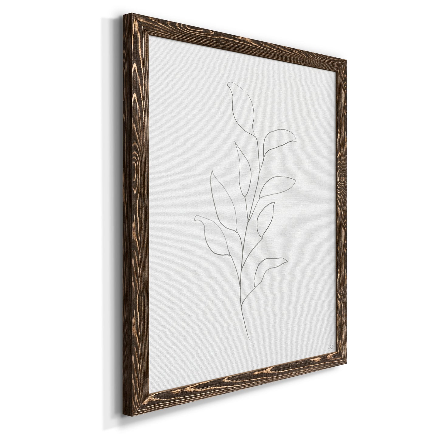 Botanical Gesture VI - Barnwood Framed Canvas Print